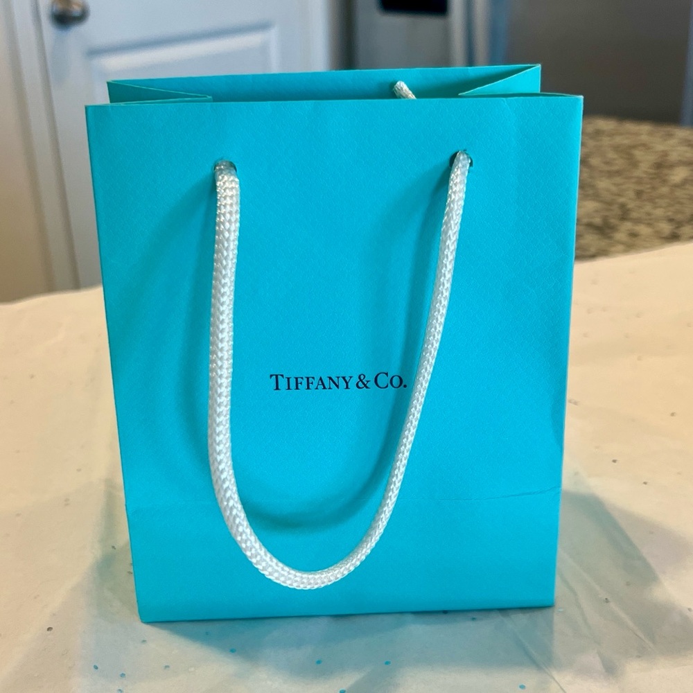 Tiffany & Co. Turquoise Paper Gift Bag with White Rope Handles - Picture 1 of 5
